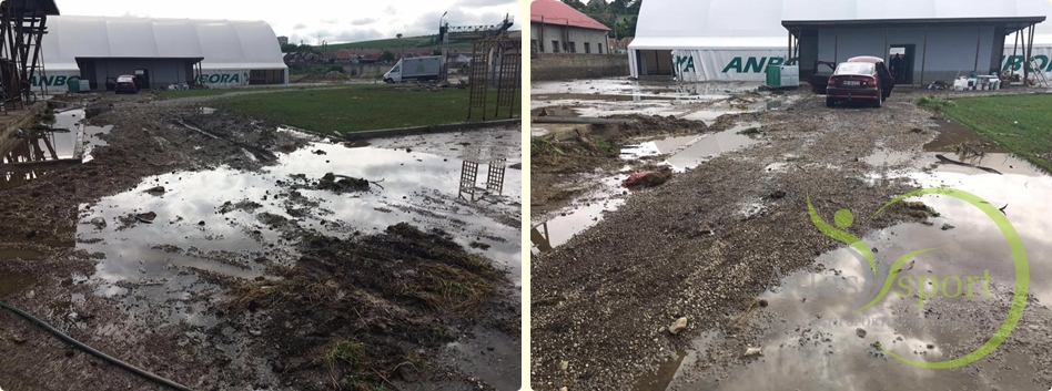 13557946 10153778965424211 1365764538945044702 n horz 1