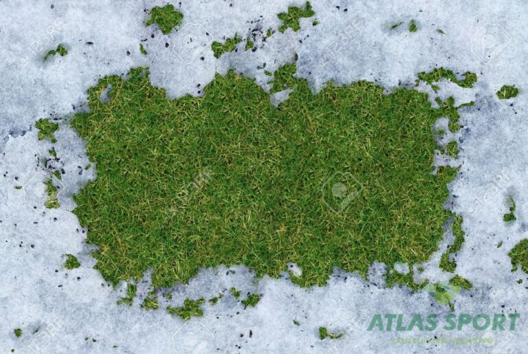 18982397 Spring thaw frame with meting cold white snow disappearing and exposing green grass underneath the f Stock Photo1