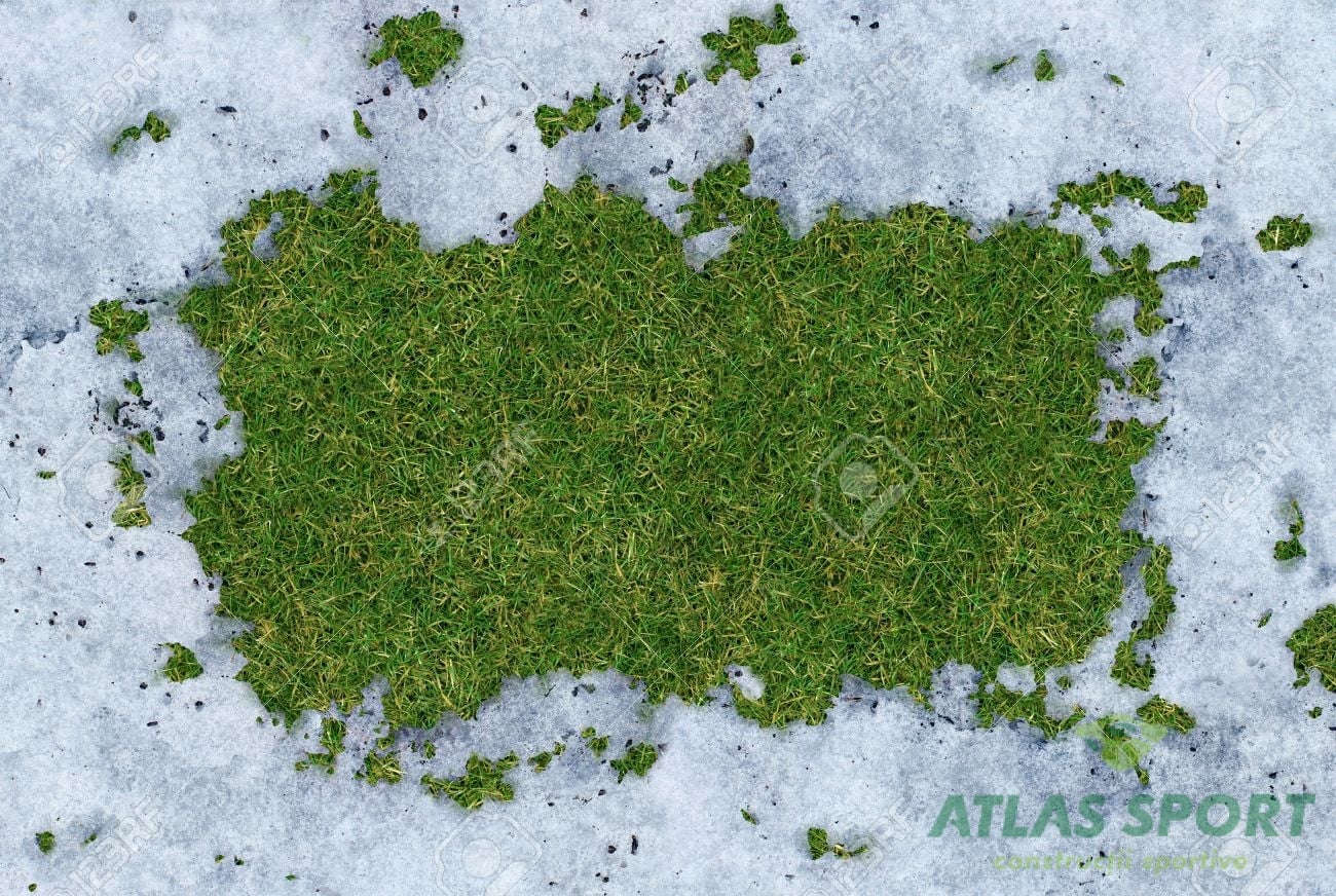 18982397 Spring thaw frame with meting cold white snow disappearing and exposing green grass underneath the f Stock Photo1