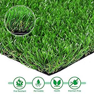 610qF4b8eeL. SY300 QL70 1