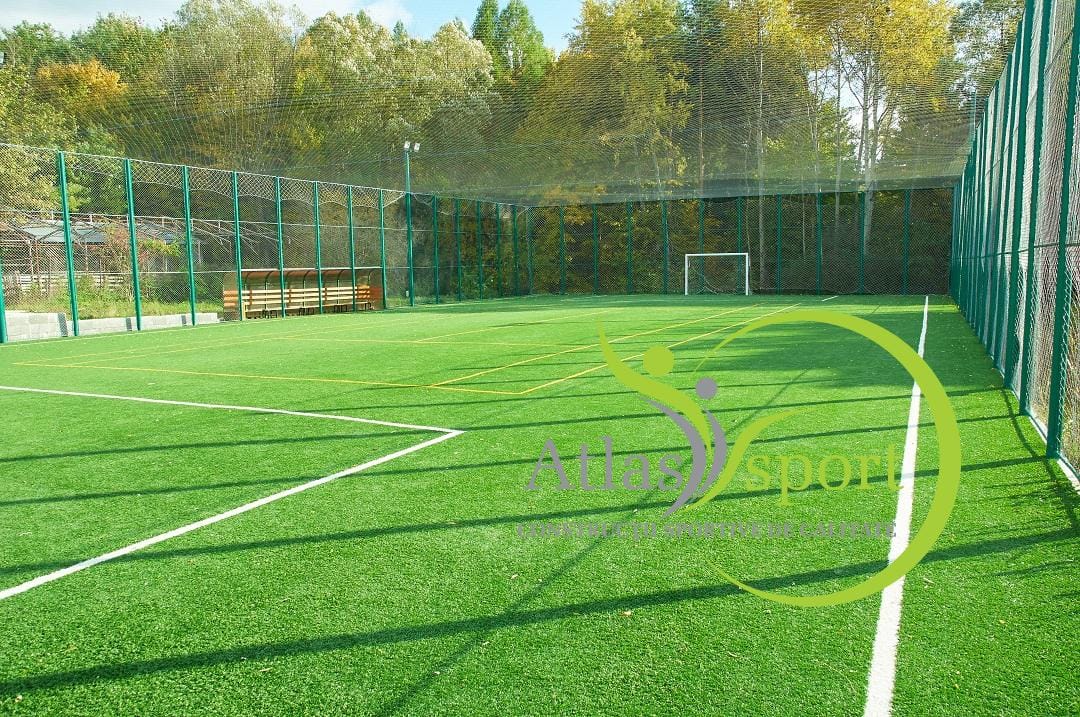 Multipurpose field in Poseşti