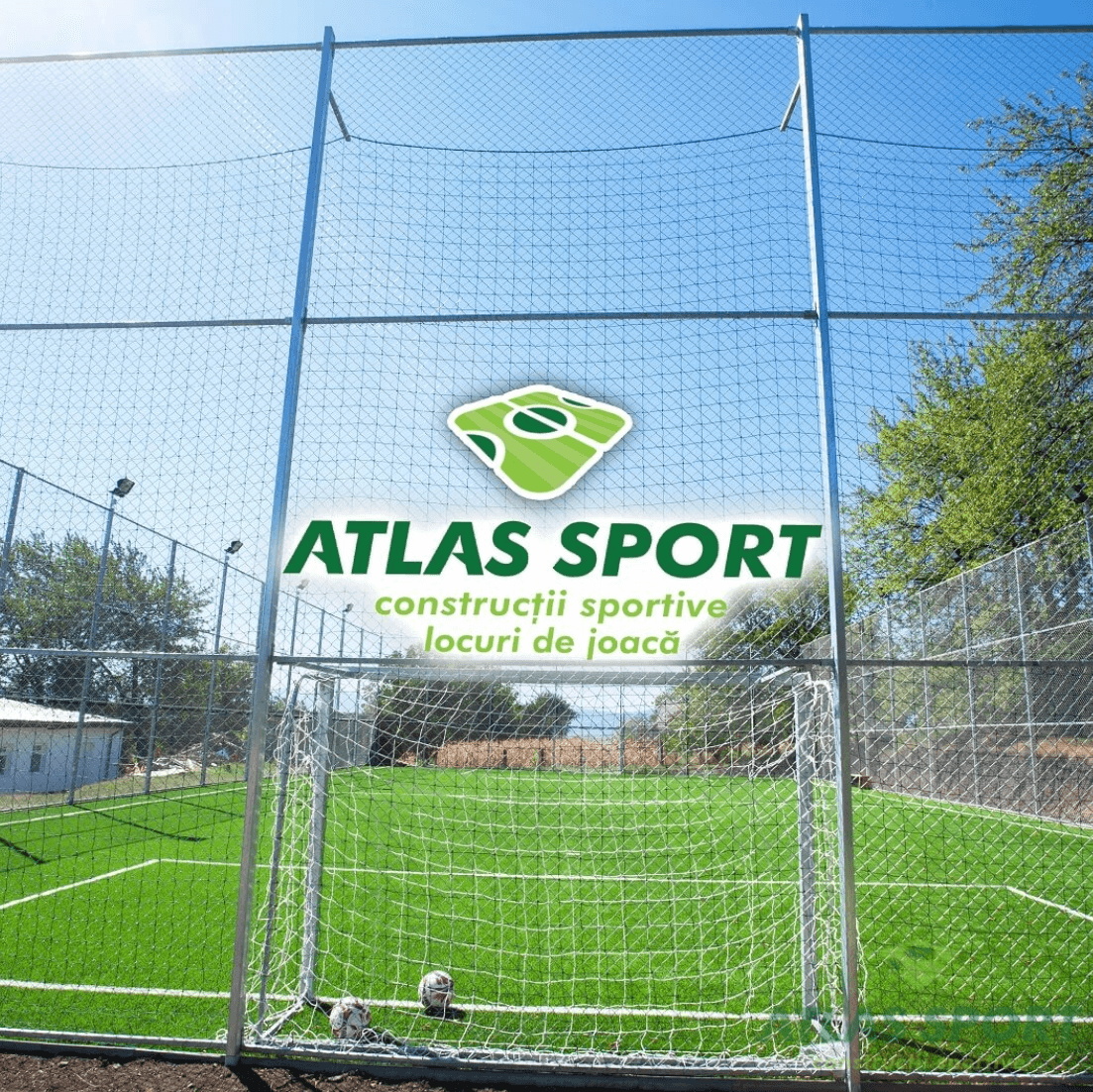 Gazon Artificial Articol