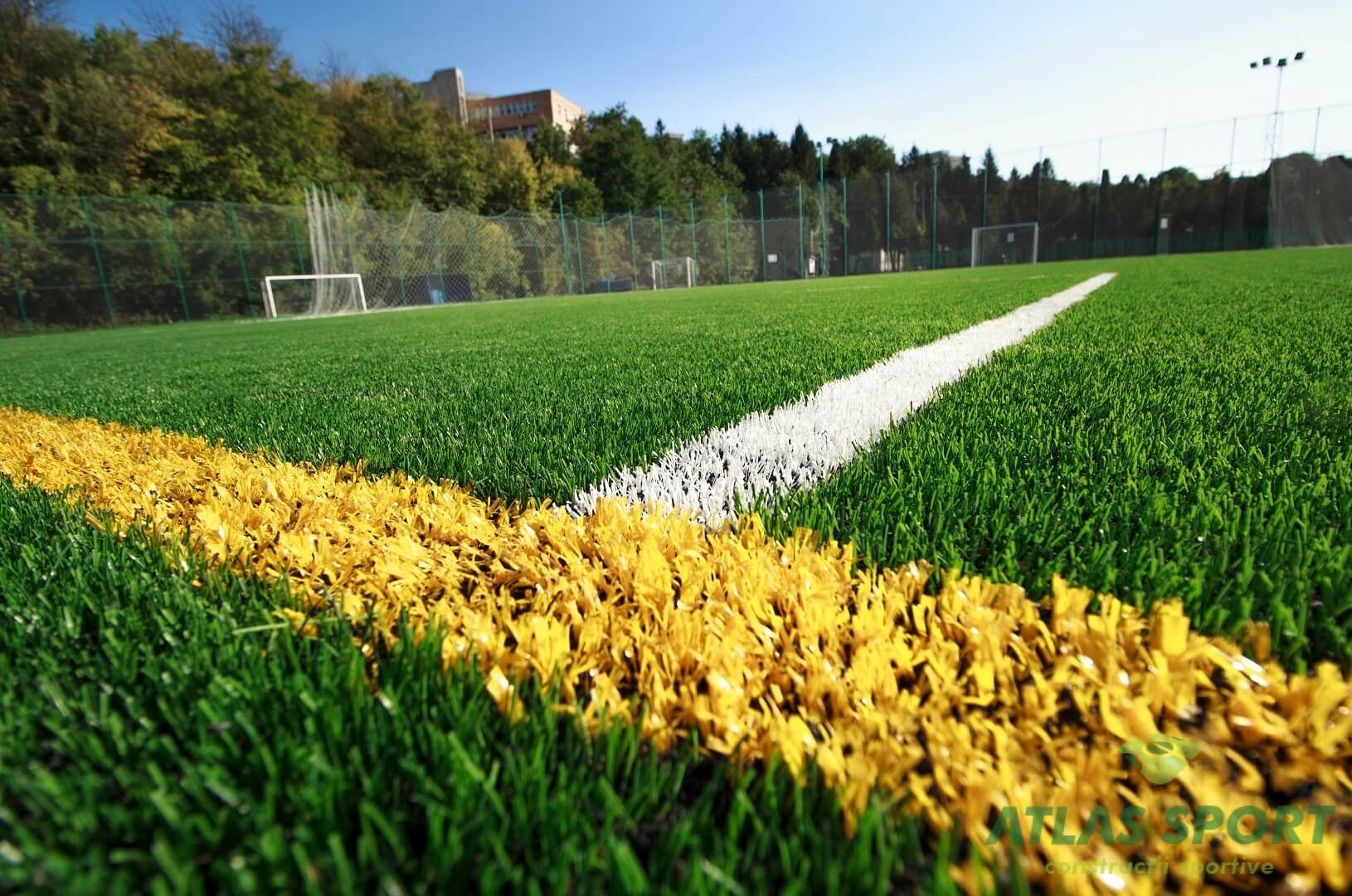 Avantajul sportiv al terenului de sport cu gazon sintetic 1 IMG 0262