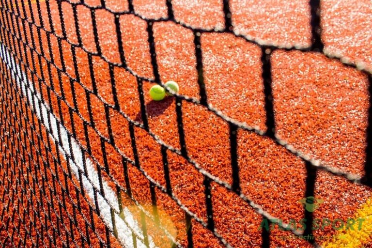 Satu Mare plasă tenis