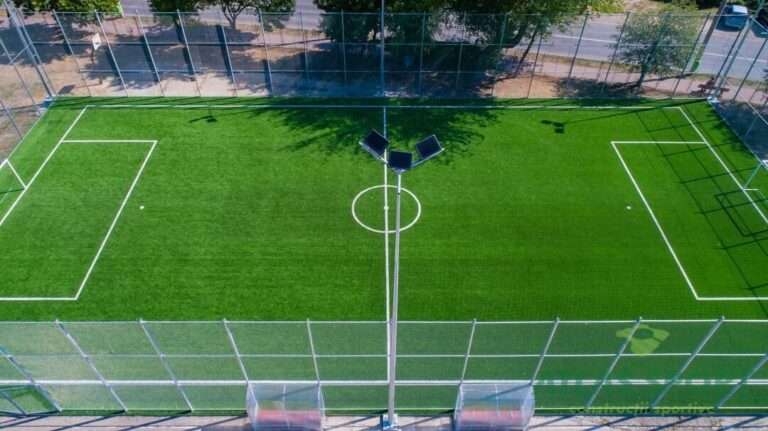 Scoala Gimnaziala Alecu Russo 4 1