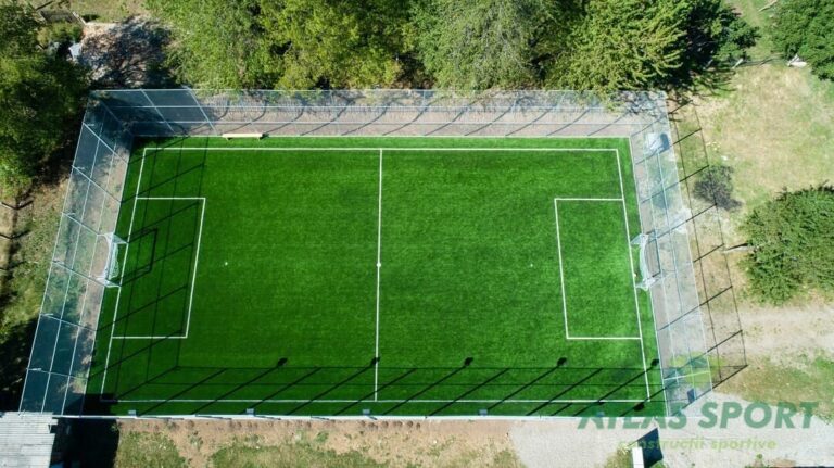 Teren Fotbal Petricani 3 1