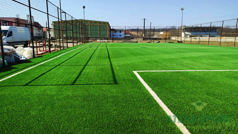 Teren fotbal Beliu Arad 6