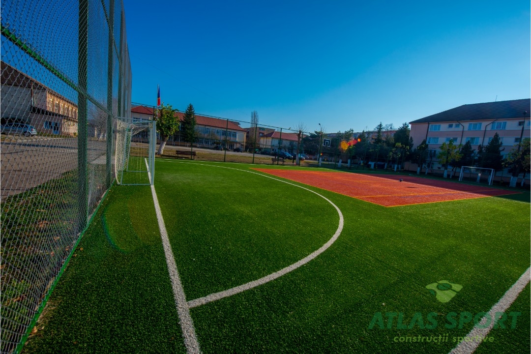 Multisport field