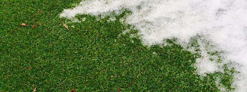 featured 800x300 2 large1