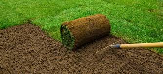 Inspectarea terenurilor cu gazon natural 1 images1 4