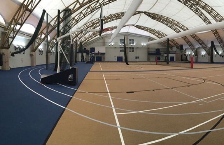 shining new light1 1