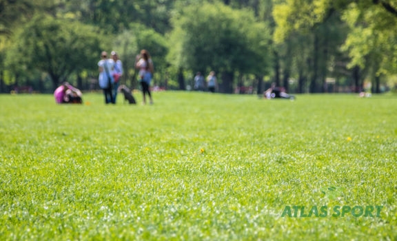 shutterstock 419291014 576x350 1